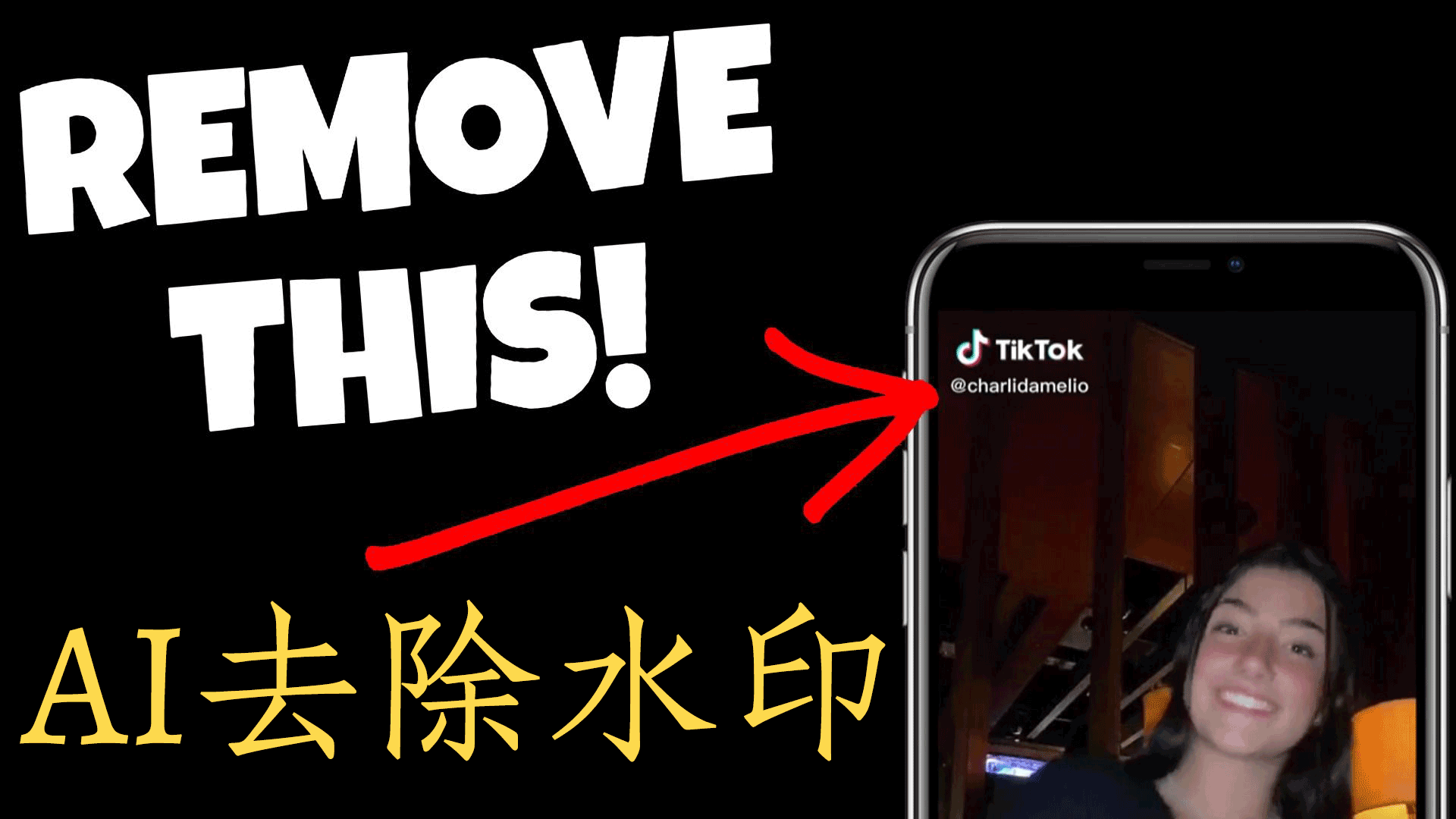 铅华洗尽,粉黛不施,人工智能AI基于ProPainter技术去除图片以及视频水印(Python3.10)